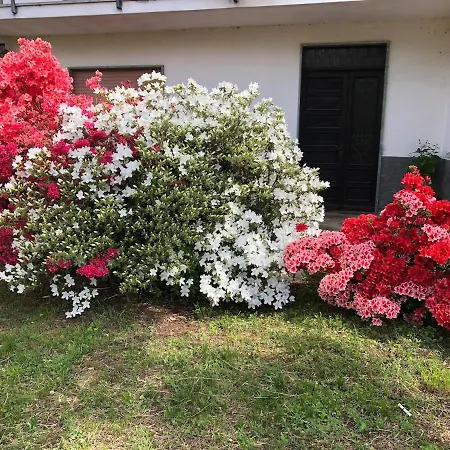 Il Nespolo Holiday home