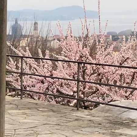 Il Nespolo *