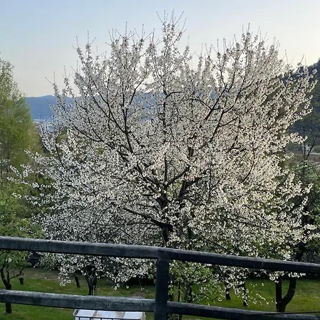 Il Nespolo *