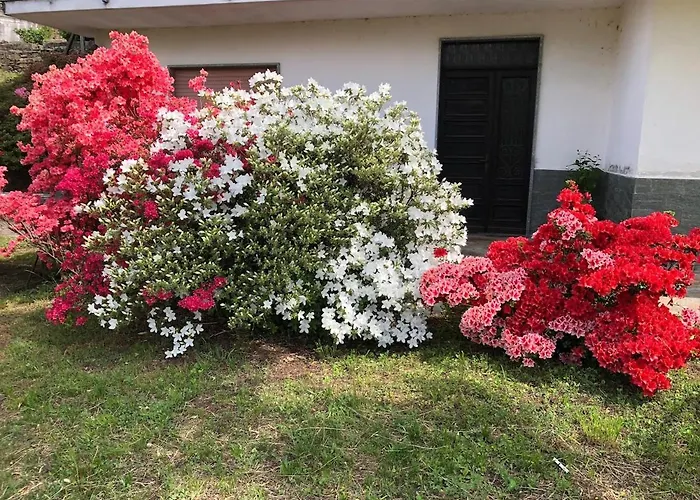 Il Nespolo Holiday home